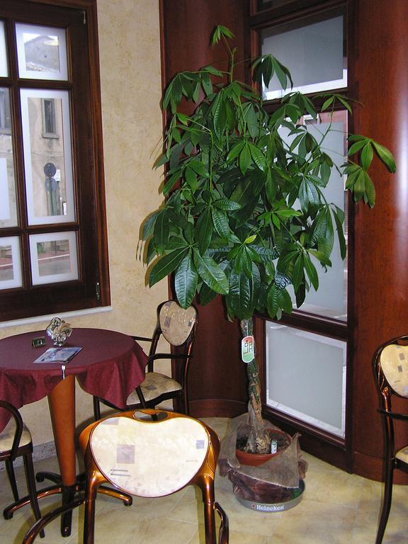 Hotel Mistral بورتوسكوسو المظهر الخارجي الصورة